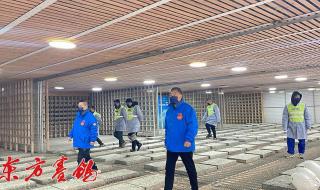 开尔公棚赛鸽公棚大棚