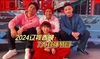 辽宁卫视春晚2024播出时间