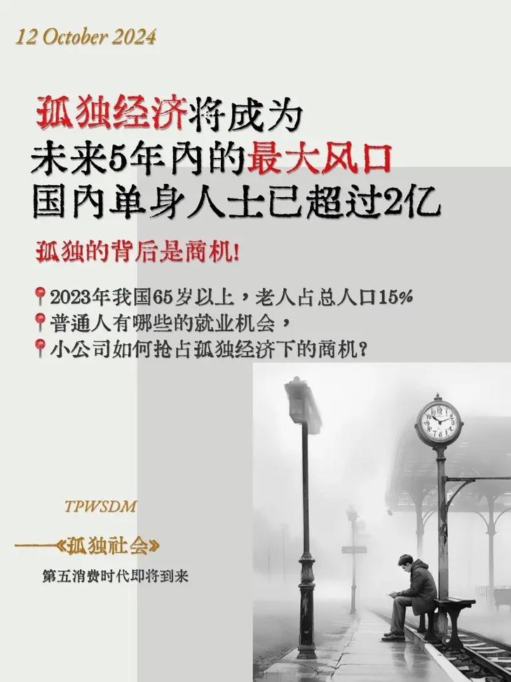 孤独经济（单身社会现象）（孤独经济背后的问题）