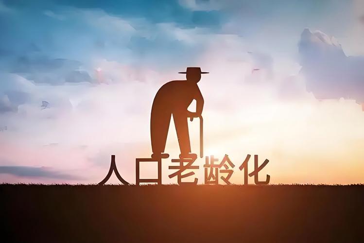 人口老龄化（养老服务体系）（人口老龄化背景下的养老问题）
