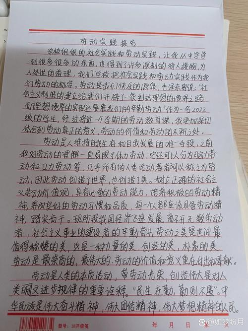 劳动教育实践（劳动教育实践材料）