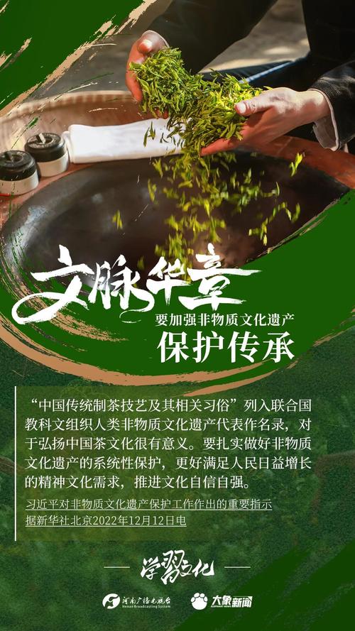 非遗保护传承（推动非遗保护传承）