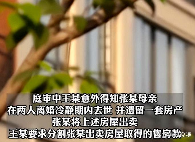 离婚冷静期遗产纠纷(离婚冷静期遗产纠纷案例)