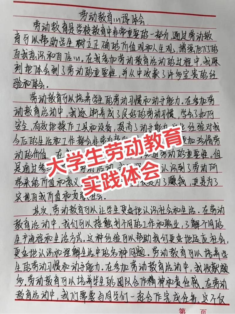 劳动教育实践(劳动教育实践与应用)