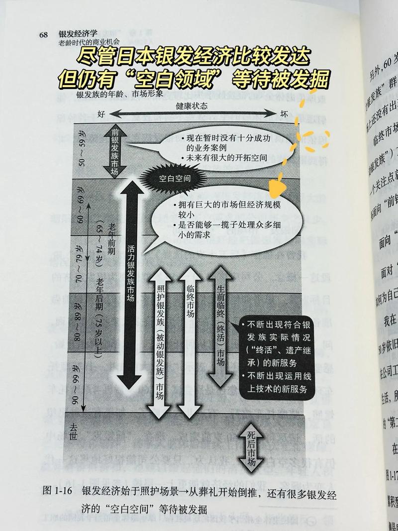 银发经济（老年消费市场）（银发经济是指什么）