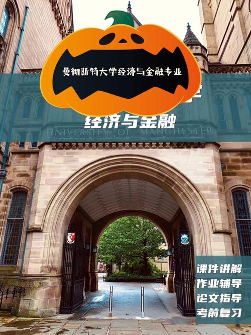经济与金融（经济与金融是冷门专业吗）