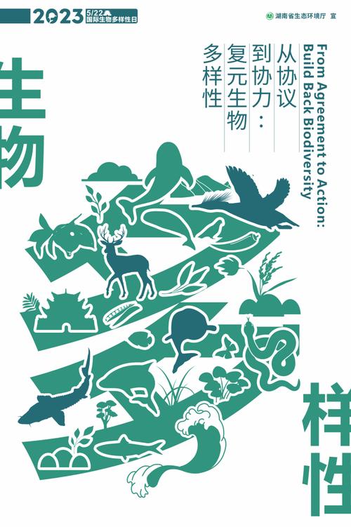 生物多样性保护(生物多样性保护海报)