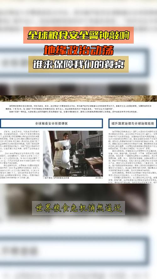 全球粮食安全(全球粮食安全格局)