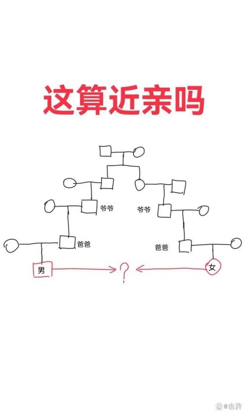 代际关系重构(代际关系问题)