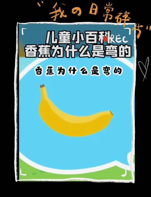 香蕉为什么是弯的?(香蕉为什么是弯的脑筋急转弯)