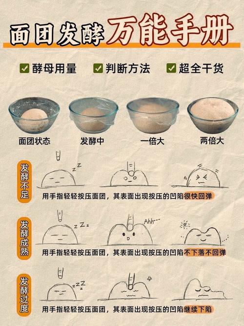 发酵原理（酵母菌做馒头发酵原理）