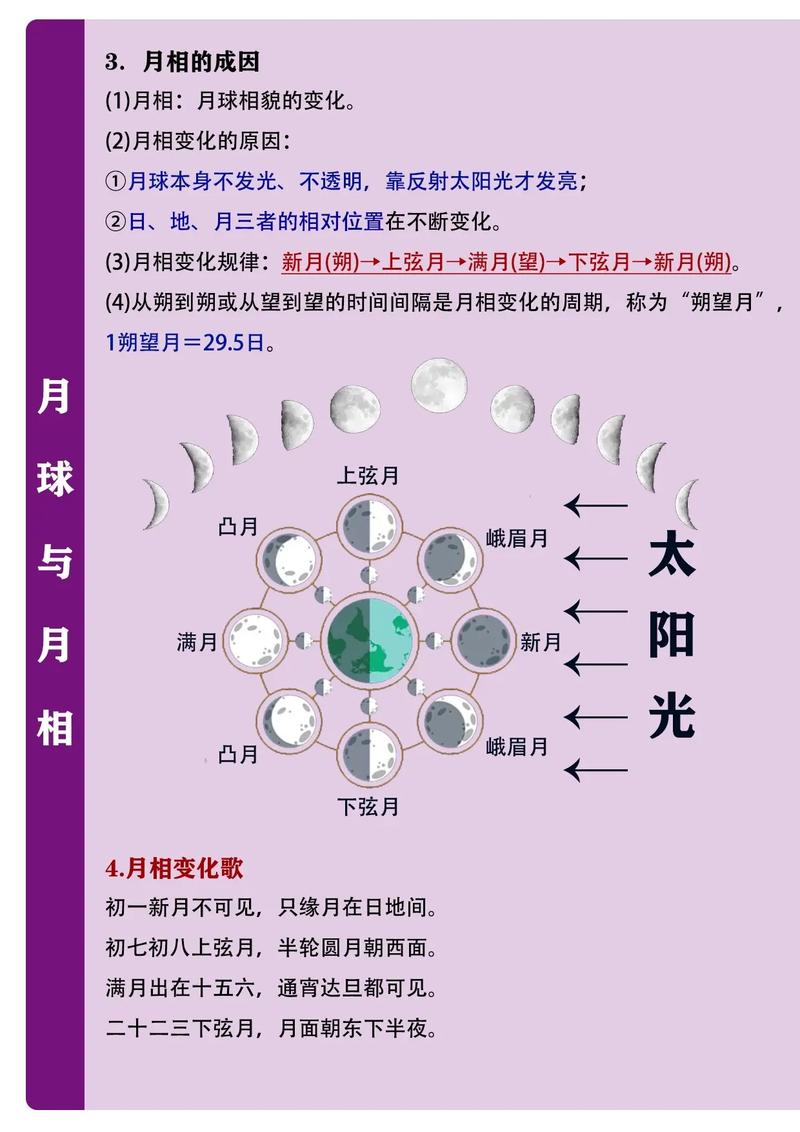 共生关系(太阳与月亮的共生关系)