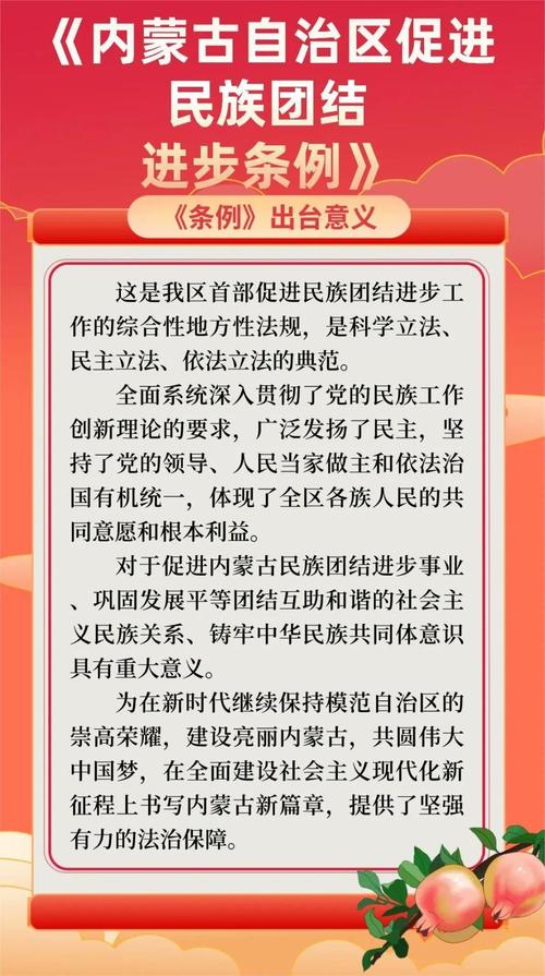 民族团结进步促进法审议（民族团结进步政策法规）
