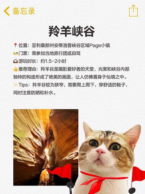 世界奇观（世界奇观英语）