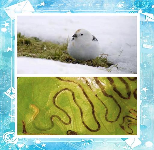 世界奇观（世界奇观英语）