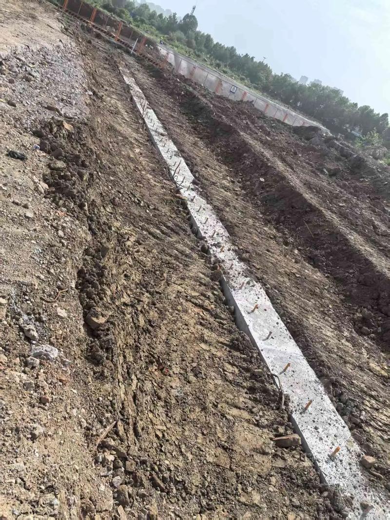 土壤修复工程（土壤修复工程包括哪些项目）