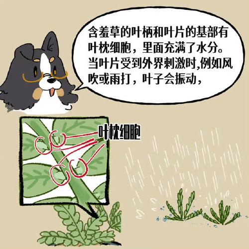 植物防御机制（植物防御的三种类型）