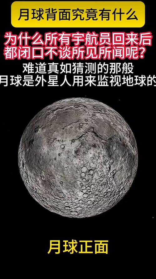 月球背面（月球背面软着陆）