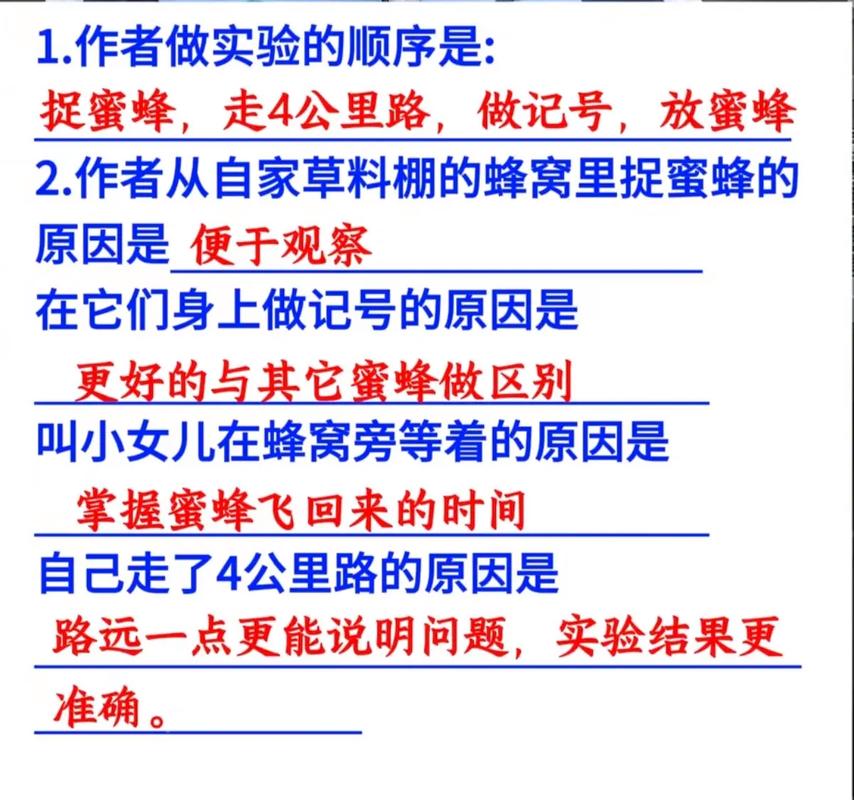 蜜蜂的舞蹈语言（蜜蜂的舞蹈语言有哪些）
