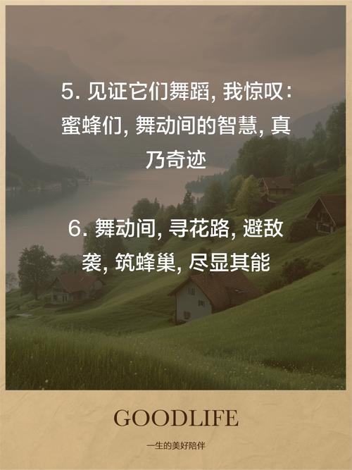 蜜蜂的舞蹈语言（蜜蜂的舞蹈语言有哪些）