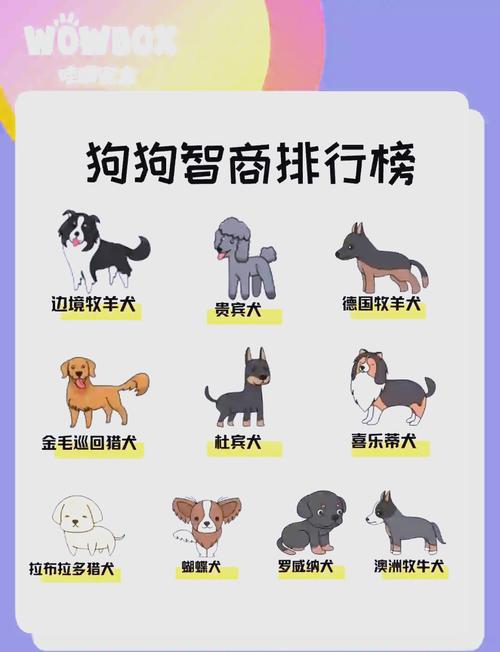 动物智商（动物智商排名一览表）