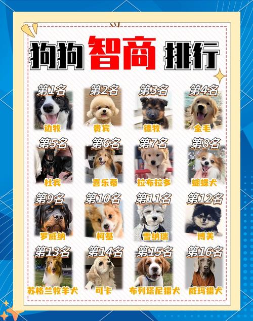 动物智商（动物智商排名一览表）
