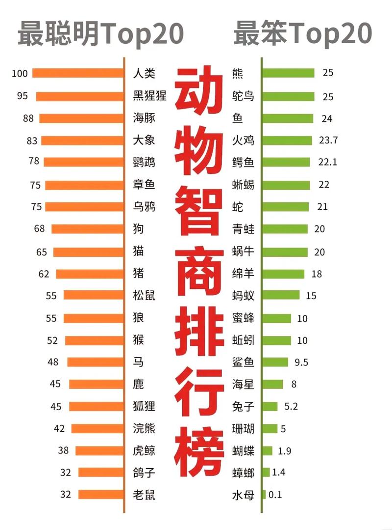 动物智商（动物智商排名一览表）