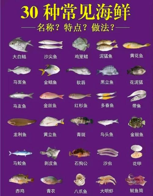 深海生物(深海生物图鉴)