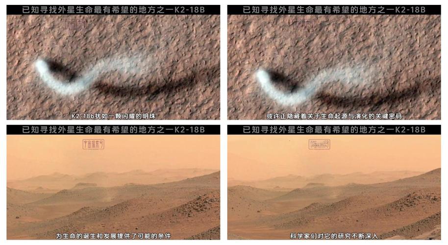 外星生命探索(外星生命探索的股票有哪些)