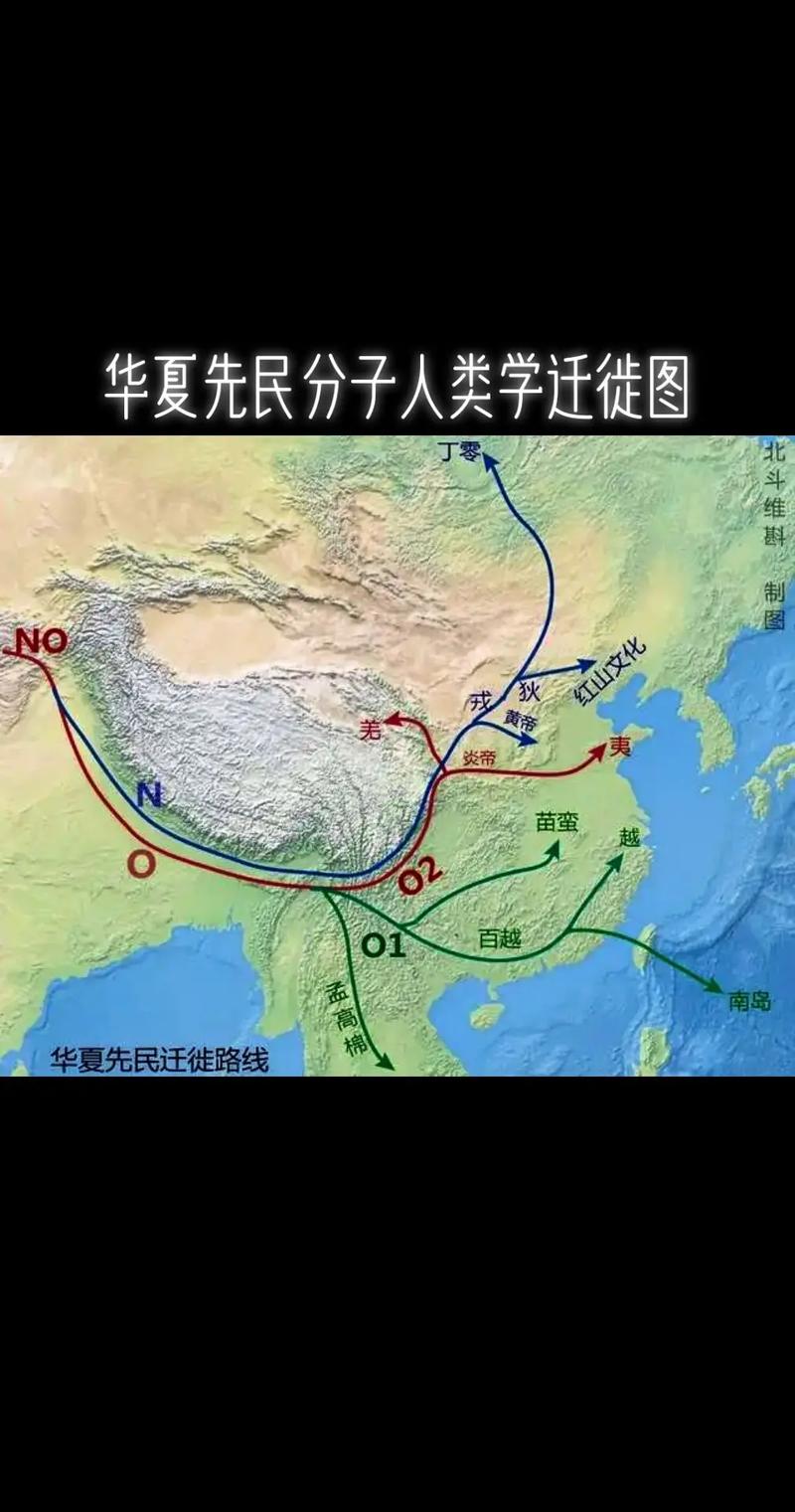 人类迁徙史(人类迁徙史 pdf)