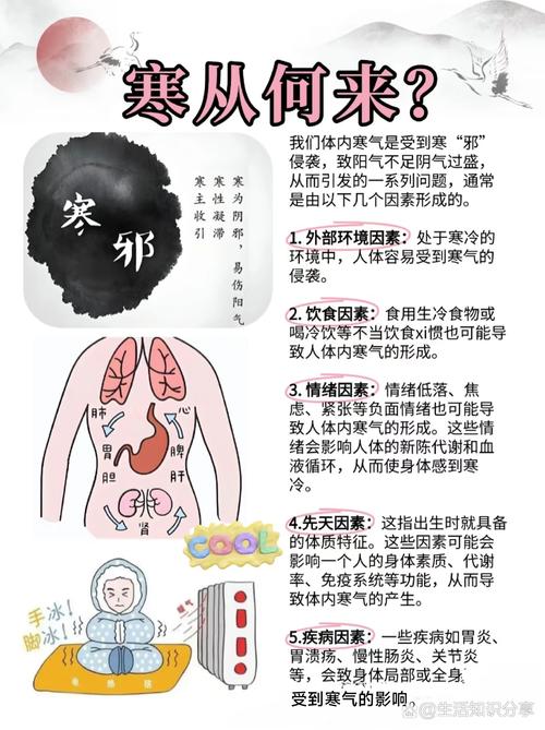 人体冷知识（人体冷知识科普）