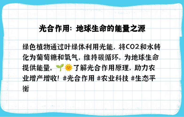 植物光合作用（植物光合作用产生什么）