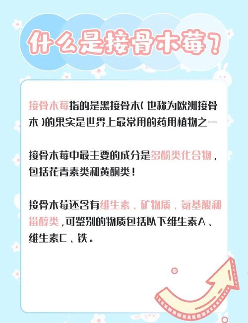 免疫力提升（免疫力提升针的功效）